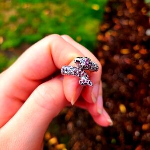 Natural Tanzanite and Rhodolite Garnet Sterling Silver Ring -Size 9